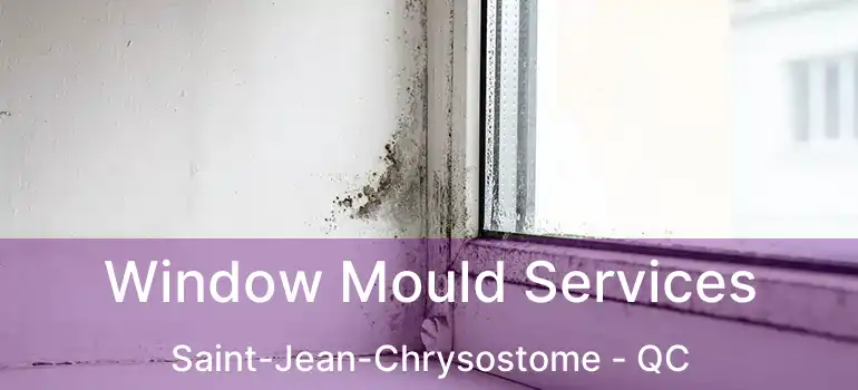  Window Mould Services Saint-Jean-Chrysostome - QC