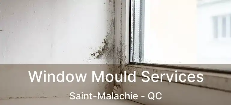  Window Mould Services Saint-Malachie - QC