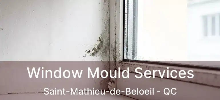  Window Mould Services Saint-Mathieu-de-Beloeil - QC