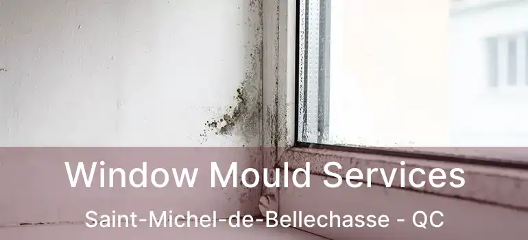  Window Mould Services Saint-Michel-de-Bellechasse - QC