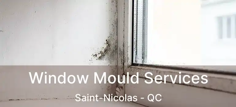  Window Mould Services Saint-Nicolas - QC