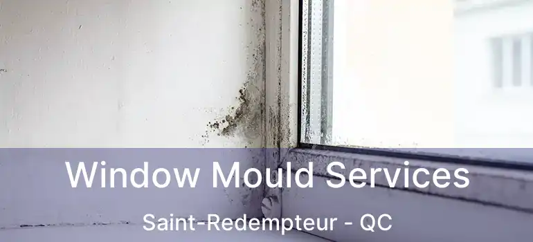  Window Mould Services Saint-Redempteur - QC