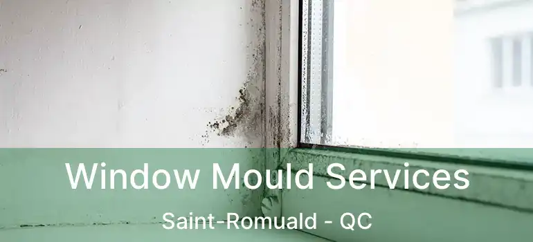  Window Mould Services Saint-Romuald - QC