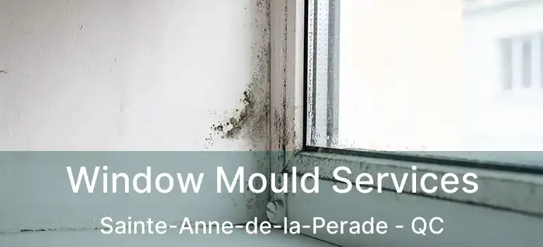  Window Mould Services Sainte-Anne-de-la-Perade - QC