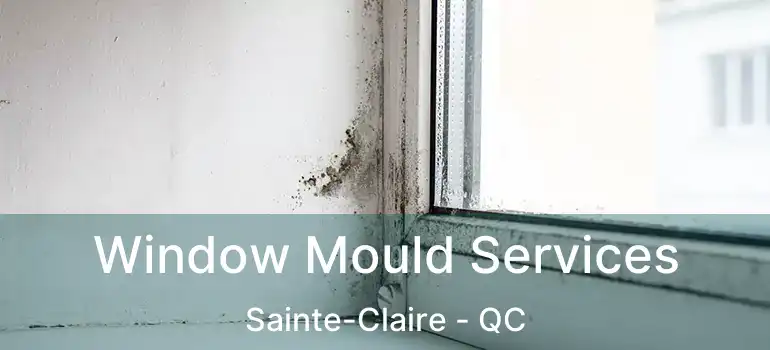  Window Mould Services Sainte-Claire - QC