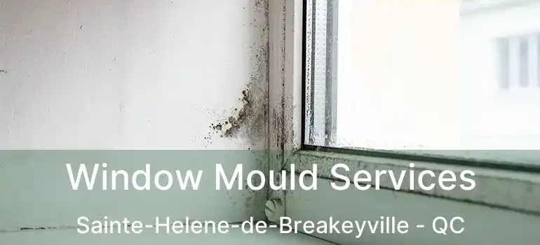  Window Mould Services Sainte-Helene-de-Breakeyville - QC