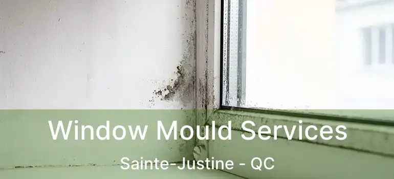  Window Mould Services Sainte-Justine - QC
