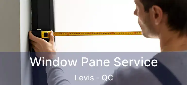  Window Pane Service Levis - QC