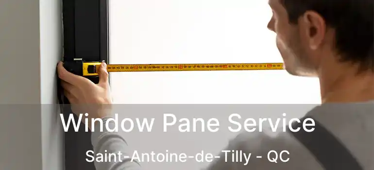  Window Pane Service Saint-Antoine-de-Tilly - QC