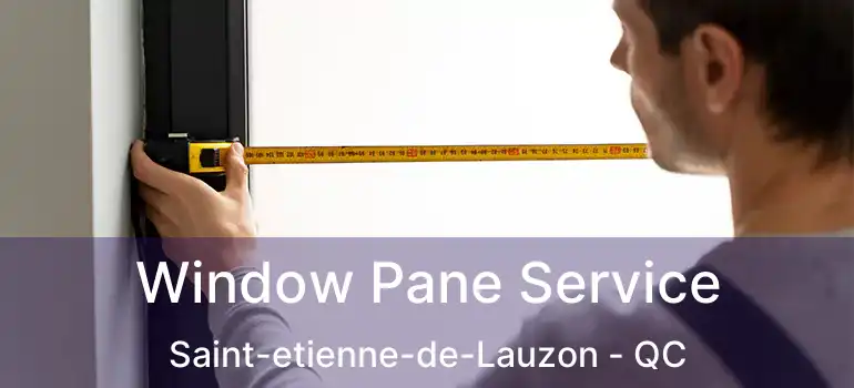  Window Pane Service Saint-etienne-de-Lauzon - QC