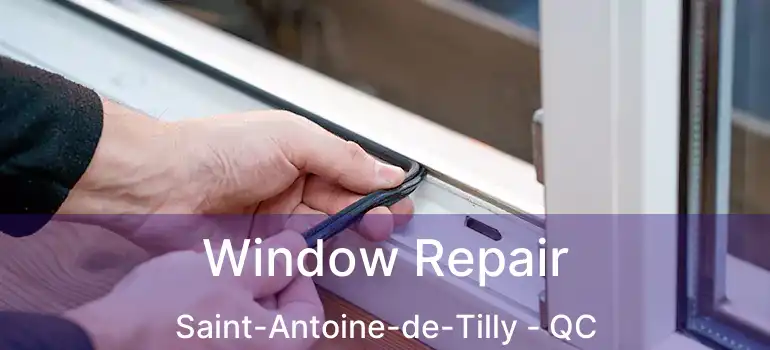  Window Repair Saint-Antoine-de-Tilly - QC