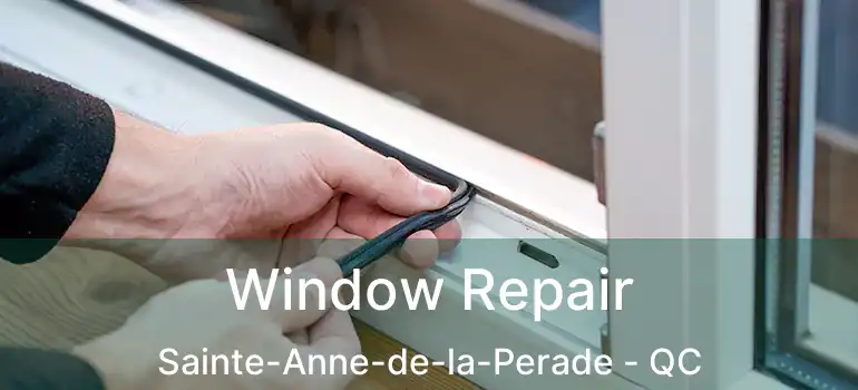  Window Repair Sainte-Anne-de-la-Perade - QC