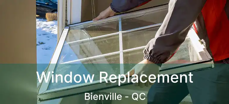  Window Replacement Bienville - QC