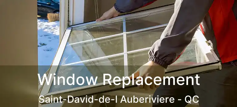  Window Replacement Saint-David-de-l Auberiviere - QC