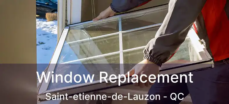  Window Replacement Saint-etienne-de-Lauzon - QC