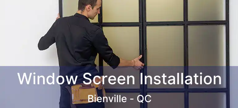  Window Screen Installation Bienville - QC