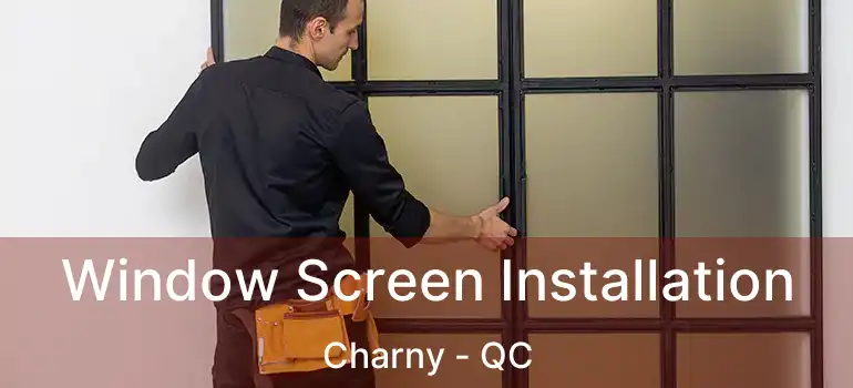  Window Screen Installation Charny - QC