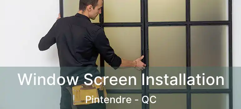  Window Screen Installation Pintendre - QC