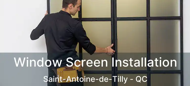  Window Screen Installation Saint-Antoine-de-Tilly - QC
