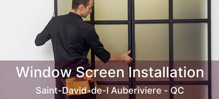  Window Screen Installation Saint-David-de-l Auberiviere - QC