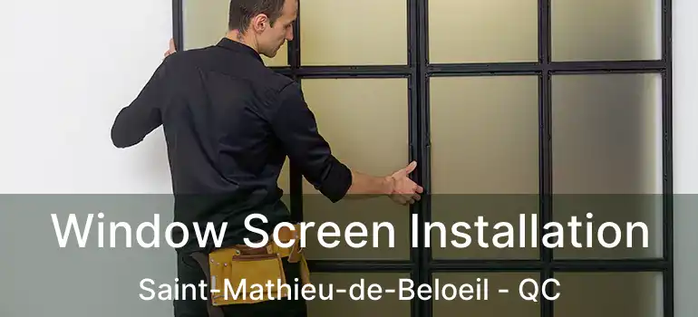  Window Screen Installation Saint-Mathieu-de-Beloeil - QC