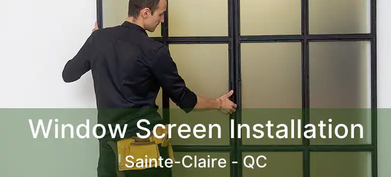 Window Screen Installation Sainte-Claire - QC