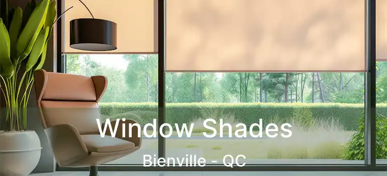  Window Shades Bienville - QC