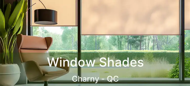  Window Shades Charny - QC