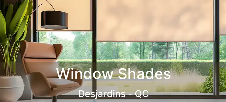  Window Shades Desjardins - QC