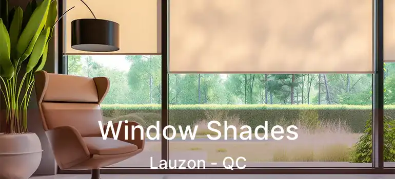  Window Shades Lauzon - QC