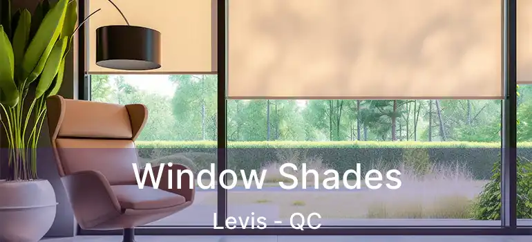  Window Shades Levis - QC