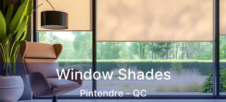  Window Shades Pintendre - QC
