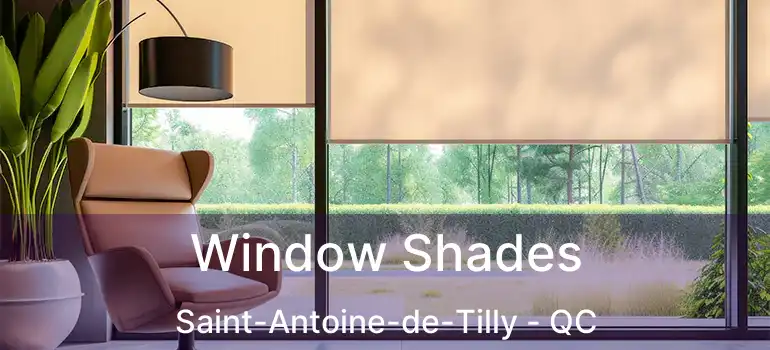  Window Shades Saint-Antoine-de-Tilly - QC