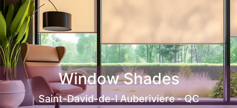  Window Shades Saint-David-de-l Auberiviere - QC