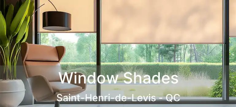  Window Shades Saint-Henri-de-Levis - QC