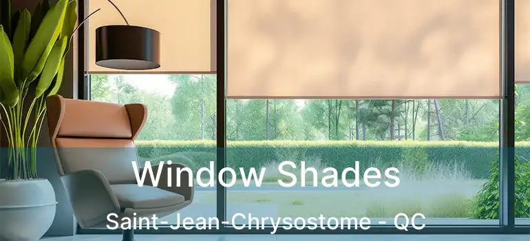  Window Shades Saint-Jean-Chrysostome - QC