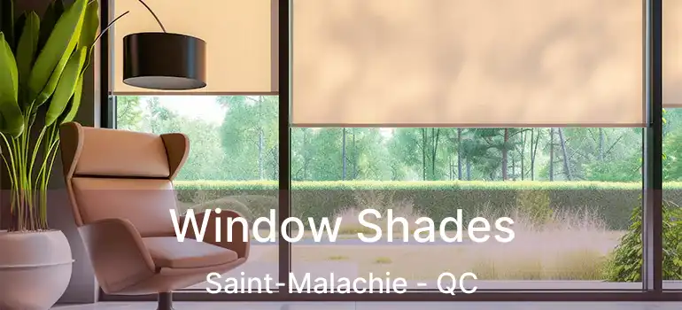  Window Shades Saint-Malachie - QC