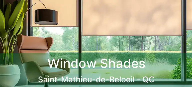  Window Shades Saint-Mathieu-de-Beloeil - QC