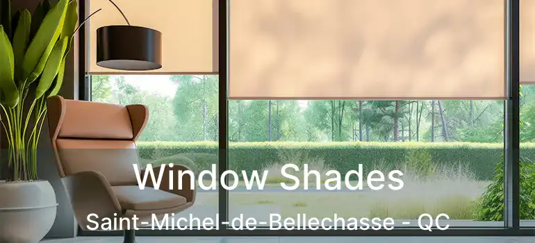  Window Shades Saint-Michel-de-Bellechasse - QC