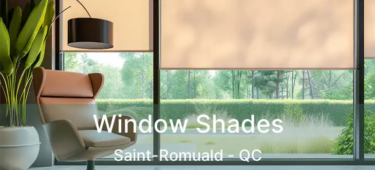  Window Shades Saint-Romuald - QC
