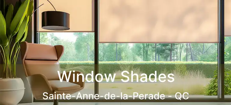  Window Shades Sainte-Anne-de-la-Perade - QC
