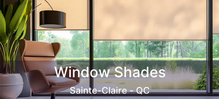  Window Shades Sainte-Claire - QC