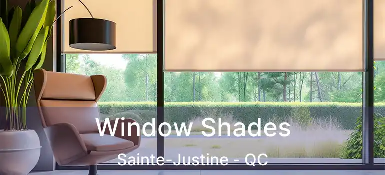  Window Shades Sainte-Justine - QC