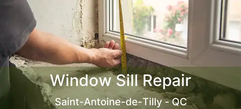  Window Sill Repair Saint-Antoine-de-Tilly - QC