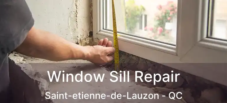  Window Sill Repair Saint-etienne-de-Lauzon - QC