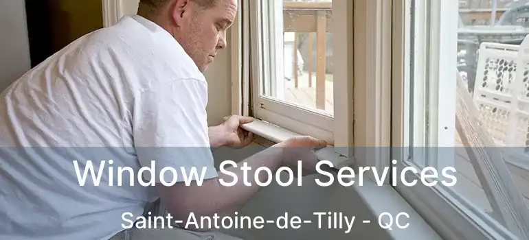  Window Stool Services Saint-Antoine-de-Tilly - QC