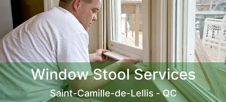  Window Stool Services Saint-Camille-de-Lellis - QC