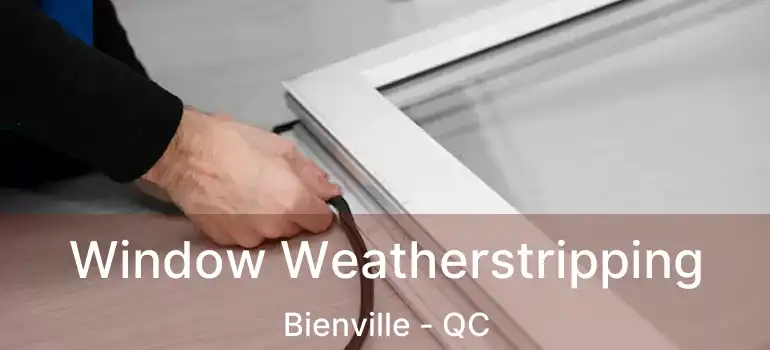  Window Weatherstripping Bienville - QC