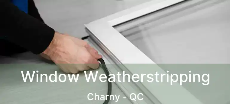  Window Weatherstripping Charny - QC