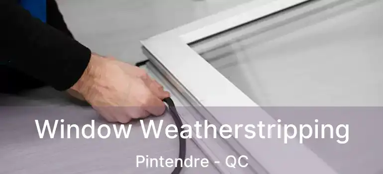  Window Weatherstripping Pintendre - QC